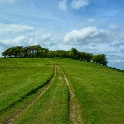 Chanctonbury Ring 2 - malcolm Oakley